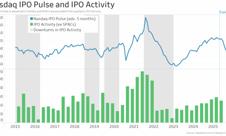 IPO Market Resilient Despite Dip in IPOs